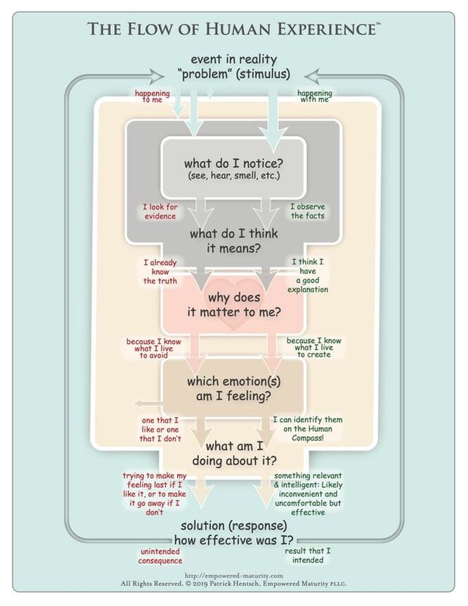 Flow of Human Experience